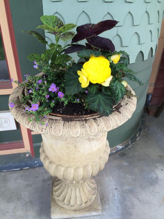 Grand Avenue Bed And Breakfast Carthage Exterior foto