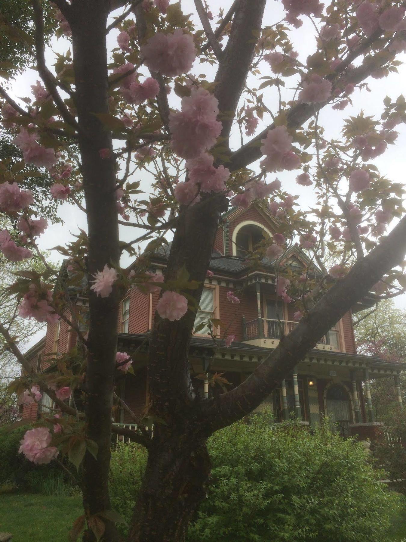 Grand Avenue Bed And Breakfast Carthage Exterior foto